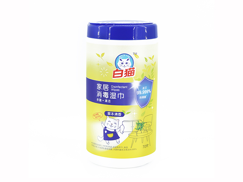 Gym disinfectant abstergit