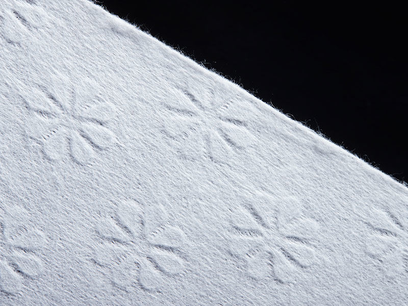 Polyester HK Flos Spunlace For Coating