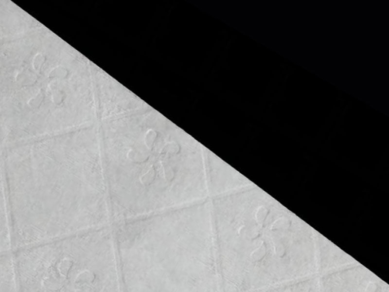 Viscose / Pulpam Flushable volutpat enim latrina Paper